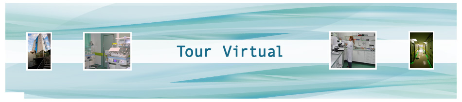 Tour Virtual